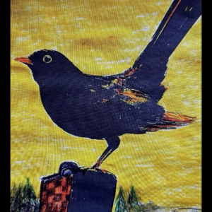 Bye Bye Blackbird